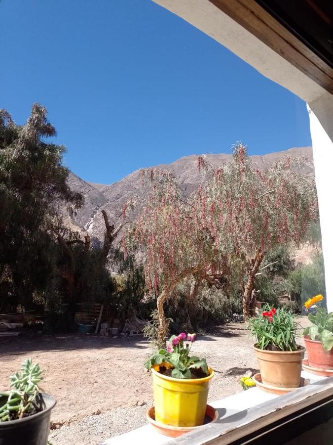 Cabanas Apu Maimará Exteriér fotografie