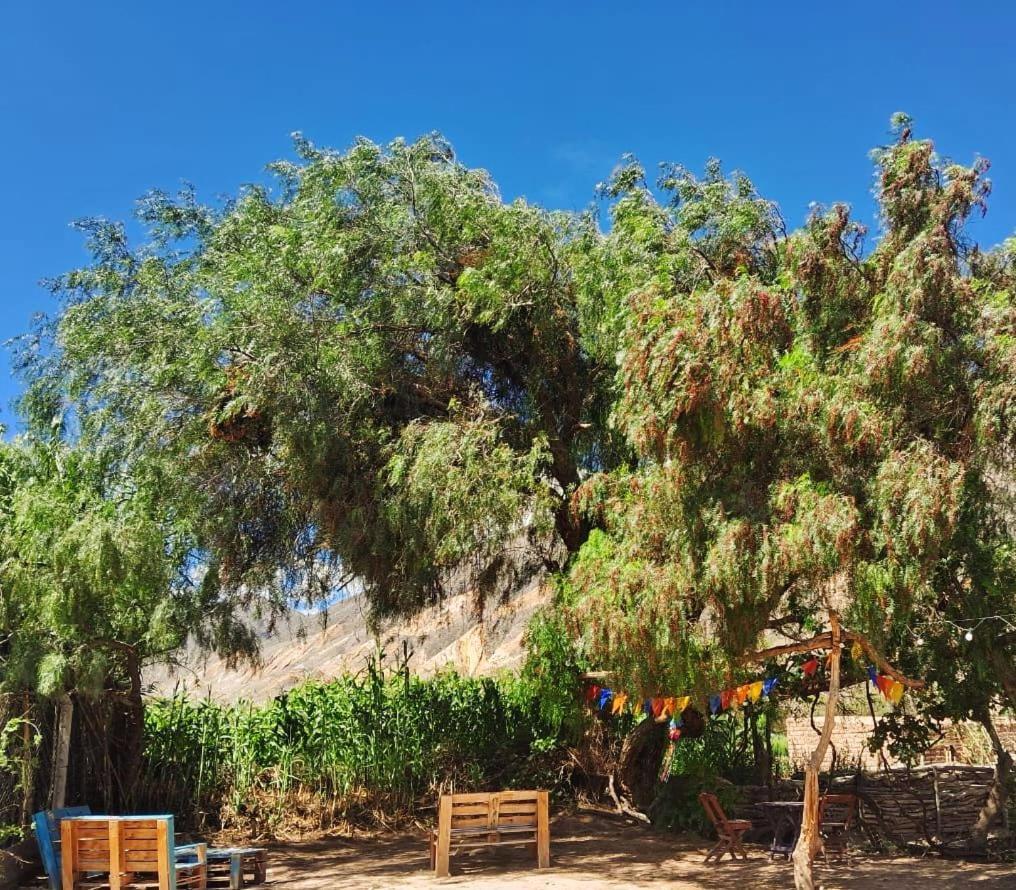 Cabanas Apu Maimará Exteriér fotografie