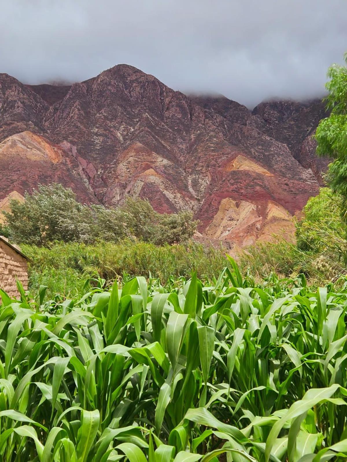 Cabanas Apu Maimará Exteriér fotografie
