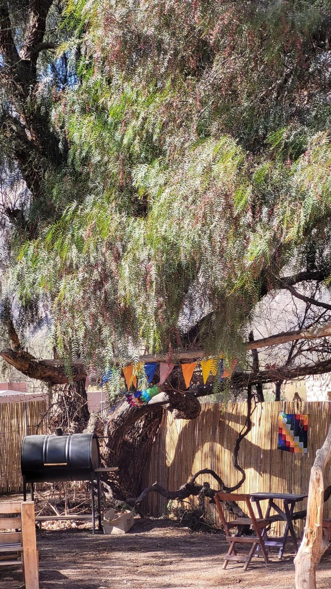 Cabanas Apu Maimará Exteriér fotografie